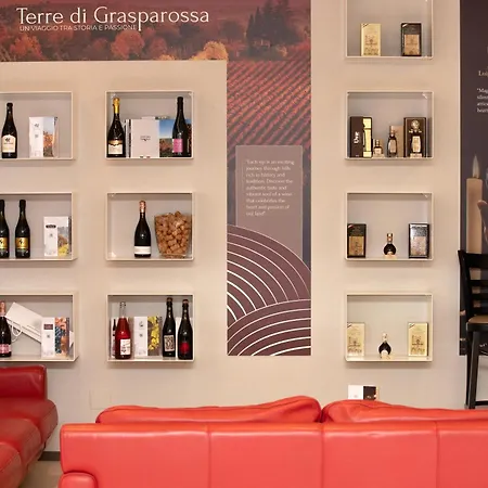 Hotel Guerro Castelvetro di Modena