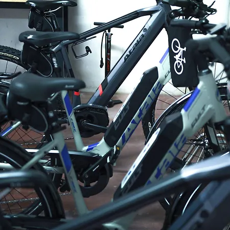 Guerro Castelvetro di Modena